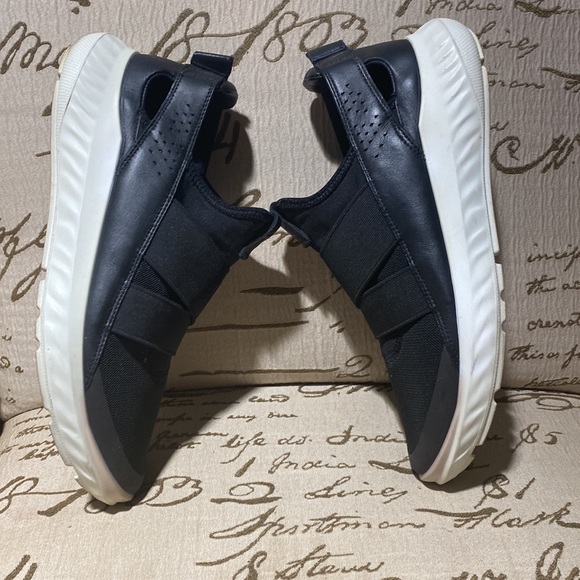 Ecco - Picture 12 of 15